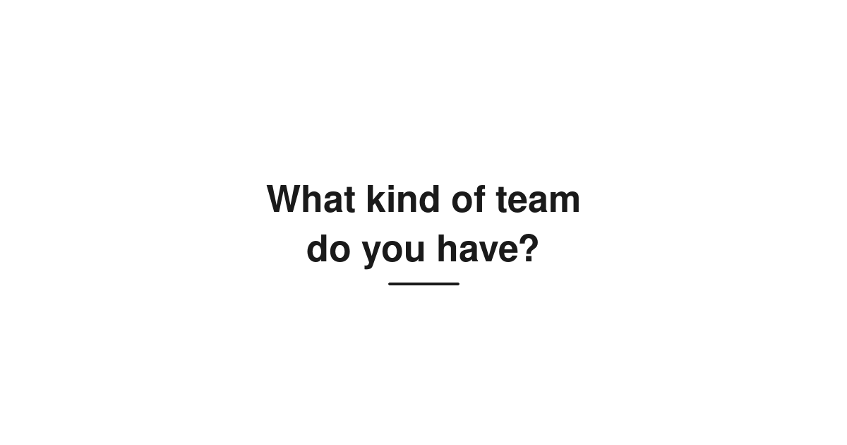 What kind of team do you have?